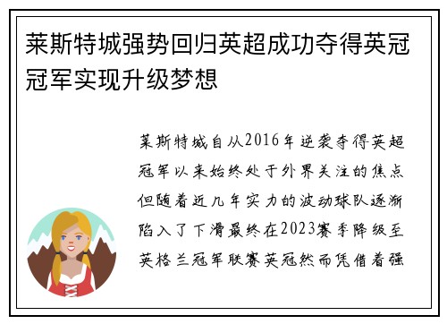 莱斯特城强势回归英超成功夺得英冠冠军实现升级梦想